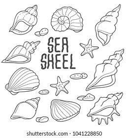 Sea shell doodle illustration. Vector collection of various sea shell in outline hand-drawn.