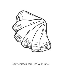 In: Sea Shell Doodle Illustration. Vektorgrafik Kollektion von verschiedenen Meeresmuscheln in Umrissen