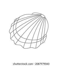  sea shell drawning contour vector illustration