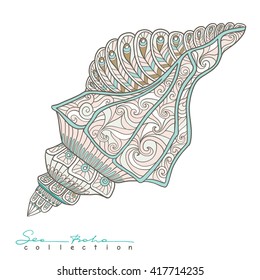 Sea shell. Element from Sea boho collection. Vector illustration.