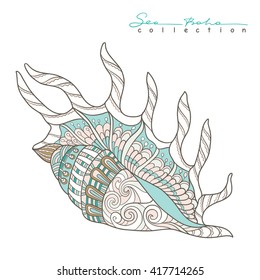 Sea shell. Element from Sea boho collection. Vector illustration.