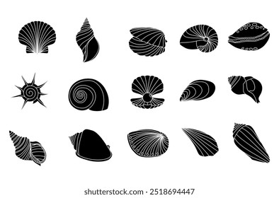 Sea shell filled vector set illustration