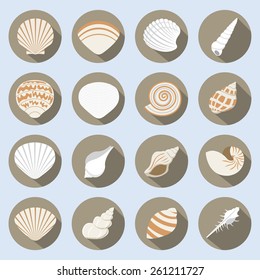 Sea Shell Flat Icons Set