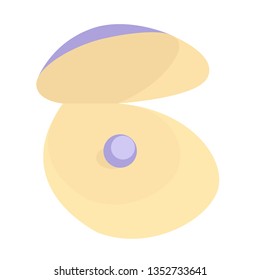 sea shell flat illustration on white