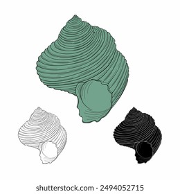 Sea shell flat style vector illustration