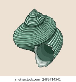 Sea shell flat style vector illustration