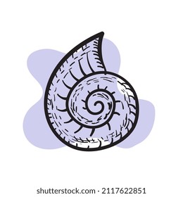 Sea shell in the form of a spiral. Vector illustration.