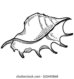 Sea shell. Hand drawing sketch vector illustration