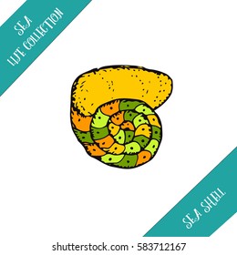 Sea shell hand drawn collection: sea animal, snail. Vector stock illustration. Colored sketch. 