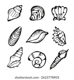Sea Shell Hand Drawn Set Isolated on white Background. SeaShell Doodle Ink Drawn Sketch Outline Collection. Summer Nautical Ocean Icon Element for Card, Poster, Banner, Wedding or Birthday Invitation.