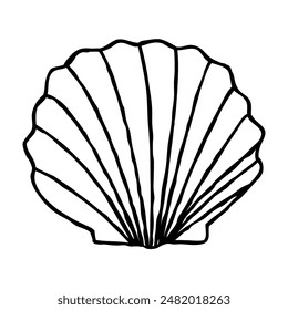 Sea shell hand drawn in thin line style. Vector illustration isolated on white background