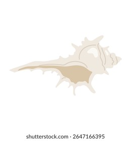 Sea shell. Hand drawn underwater elements. Illustration for summer, ocean design, beach decor, kids projects.
