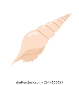 Sea shell. Hand drawn underwater elements. Illustration for summer, ocean design, beach decor, kids projects.