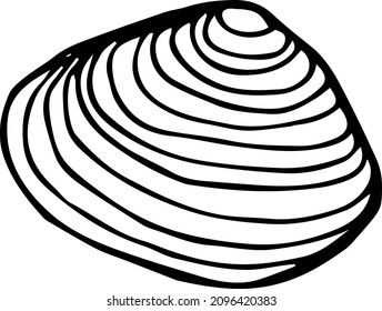 Sea shell hand drawn vector illustration. 