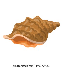 Sea shell icon. Cartoon of sea shell vector icon for web design isolated on white background