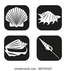 Sea shell icon in four variations