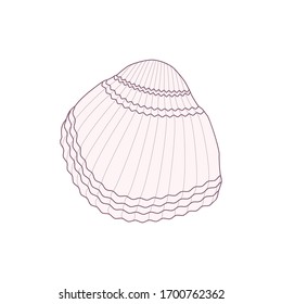 Sea shell icon, han drawn vector illustration. Isolated object. Flat color design.