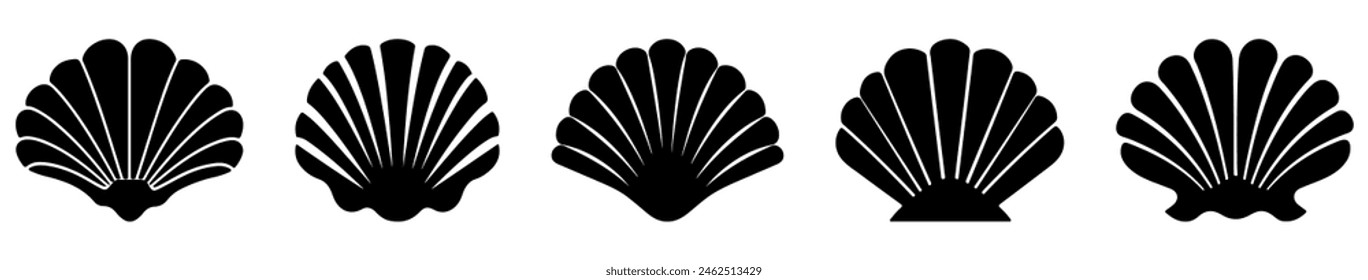 Sea shell icon set. Vector illustration isolated on white background
