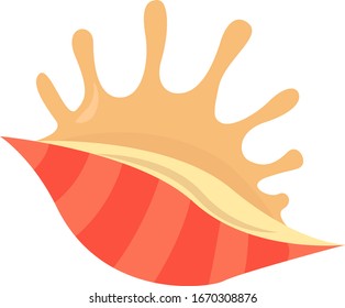 Cubierta marina, ilustración, vector sobre fondo blanco.