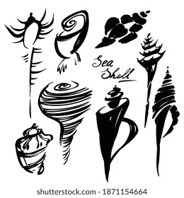 Set de tinta de la concha del mar. Silhouette de molusk nautilus dibujada a mano. Elemento negro rayado de agua marina para la reserva de cartas de visita. Vintage