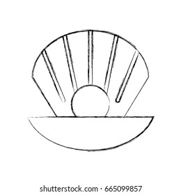 Sea shell isolated icon
