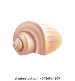 Sea shell isolated illustration on white background.