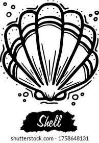 Concha de mar aislada sobre fondo blanco. Ilustración de grabado vectorial negro vintage. Mano dibujada en un estilo gráfico.