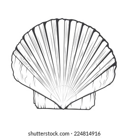 23,103 Scallop shell Stock Vectors, Images & Vector Art | Shutterstock