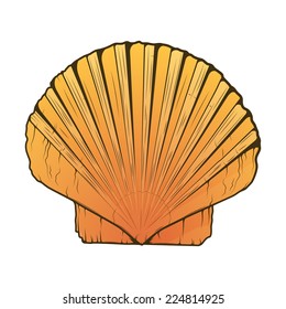 Sea Shell isolated on a white background. Color line art. Retro design. Vector illustration.