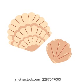 Sea Shell Isolated on White Background. Modern flat cartoon style.