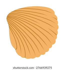 Sea shell isolated on white background vector.