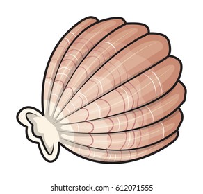 Sea shell, isolated on white, vector illustration