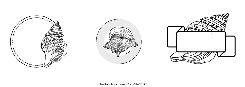 Sea shell logo with Hand drawn sketch black lines on a white background. Template for menu or spa poster. Seafood or Travel emblem.