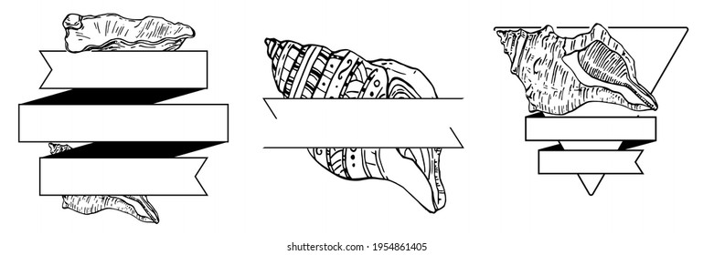 Sea shell logo with Hand drawn sketch black lines on a white background. Template for menu or spa poster. Seafood or Travel emblem.