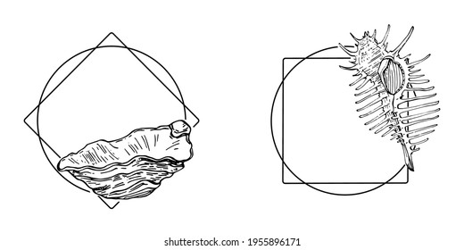 Logo de la concha de mar con dibujo a mano líneas negras sobre un fondo blanco. Plantilla para el cartel de menú o spa. Emblema de mariscos o viajes.