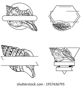 Sea shell logo with Hand drawn sketch black lines on a white background. Template for menu or spa poster. Seafood or Travel emblem.
