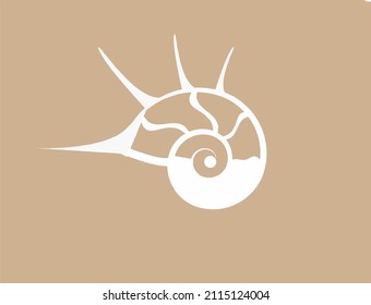 
Sea shell logo. Logo of spa center.