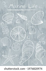 Sea shell and marine life doodle vector for decoration on ocean and summer holiday concept.