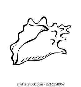 Sea shell. Marine underwater twisted shell. Undersea mollusc. Decorative element. Mediterranean culture. Cartoon vector illustration black and white. Hand drawn outline sketch