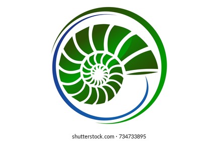 Sea Shell Modern