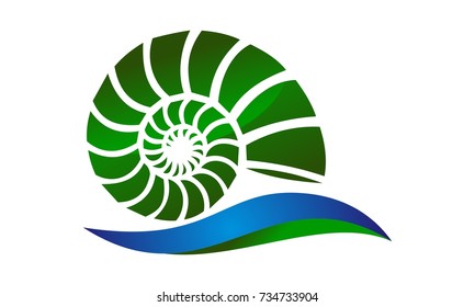 Sea Shell Modern