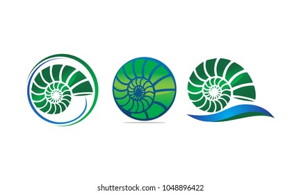 Sea Shell Modern Set