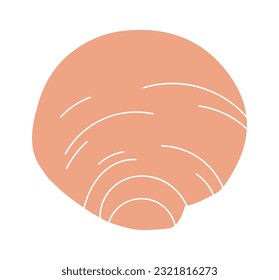 Sea Shell Mollusk Vector Illustration