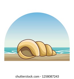 Sea shell molusk black and white