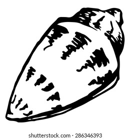 Sea shell monochrome vector isolated clip art