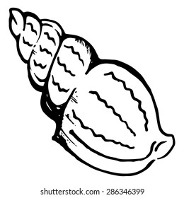 Sea shell monochrome vector isolated clip art