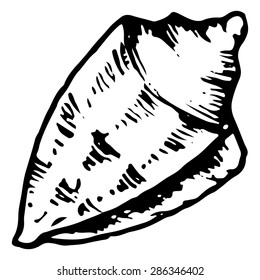 Sea shell monochrome vector isolated clip art