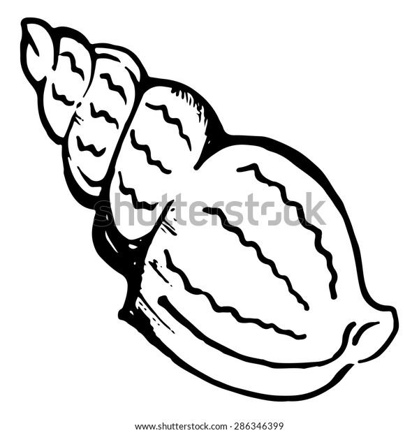 Sea Shell Monochrome Vector Isolated Clip Stock Vector (royalty Free 