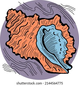 Sea shell natural beauty from ocean beach treasure collection. Summer time vacation mood. Aquarium exotic tropical decoration. Hand drawn boho retro vintage vector illustration. Old style drawing.