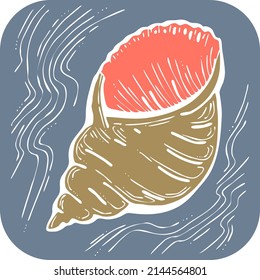 Sea shell natural beauty from ocean beach treasure collection. Summer time vacation mood. Aquarium exotic tropical decoration. Hand drawn boho retro vintage vector illustration. Old style drawing.